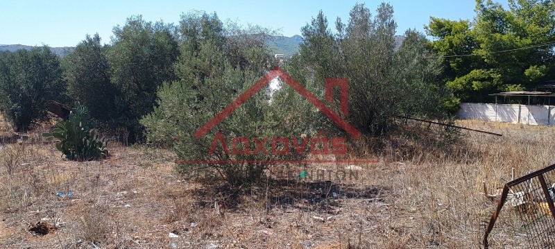 Οικόπεδο 208 τ.μ. πρός πώληση, Νησιά Αργοσαρωνικού, Σαλαμίνα
