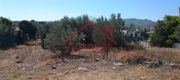 Οικόπεδο 208τ.μ. για πώληση-Σαλαμίνα » Βασιλικά