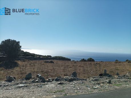 Οικόπεδο 4.800τ.μ. για πώληση-Άνδρος