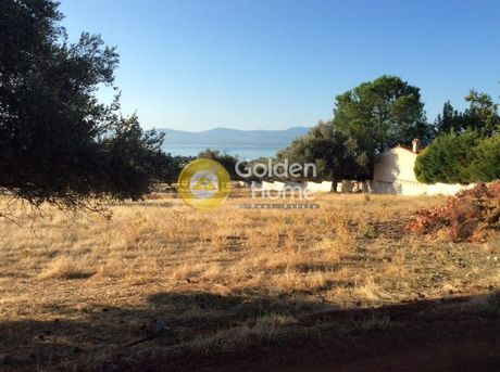 Οικόπεδο 4.020τ.μ. για πώληση-Ερέτρια » Κέντρο