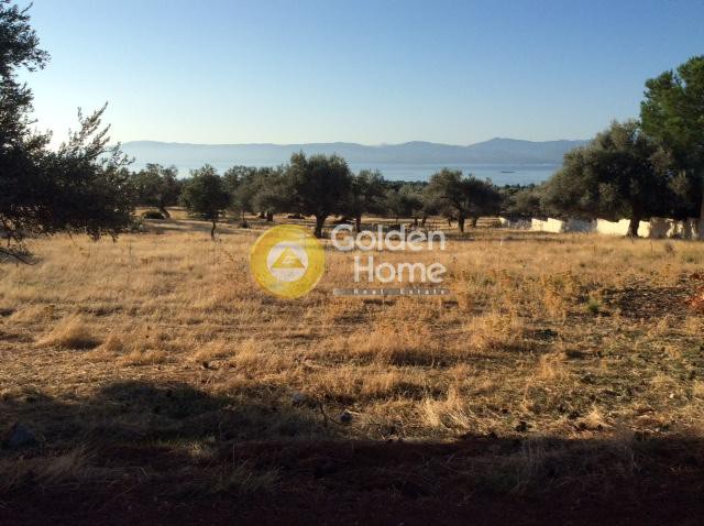 Οικόπεδο 4.020 τ.μ. πρός πώληση, Εύβοια, Ερέτρια