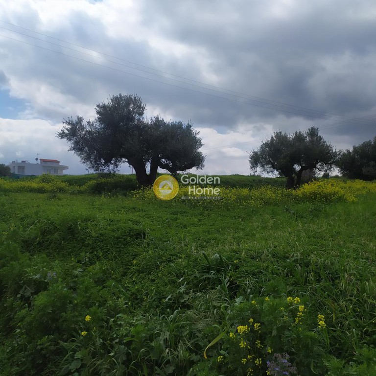 Οικόπεδο 1.356 τ.μ. πρός πώληση, Ν. Ηρακλείου, Ηράκλειο Κρήτης