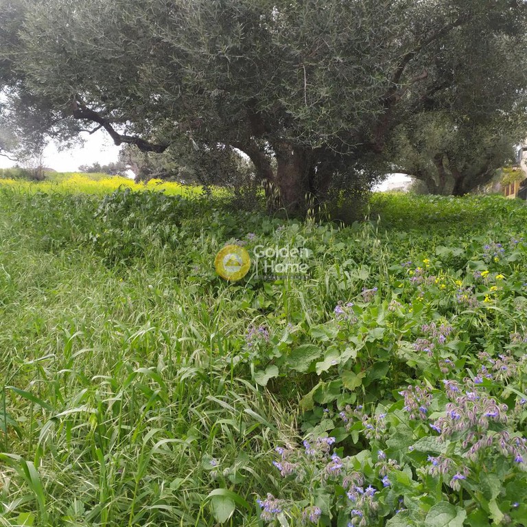 Οικόπεδο 1.356 τ.μ. πρός πώληση, Ν. Ηρακλείου, Ηράκλειο Κρήτης