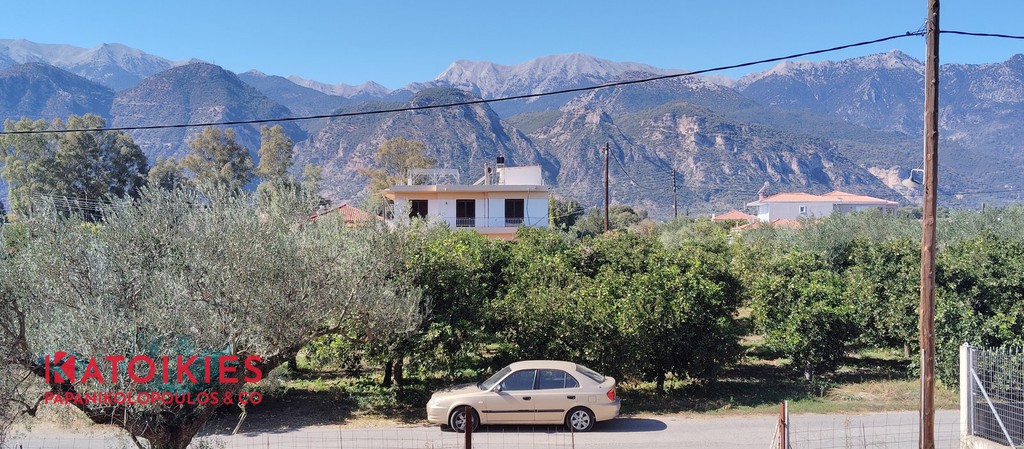 Μονοκατοικία 384 τ.μ. προς πώληση, Χαρίσιο