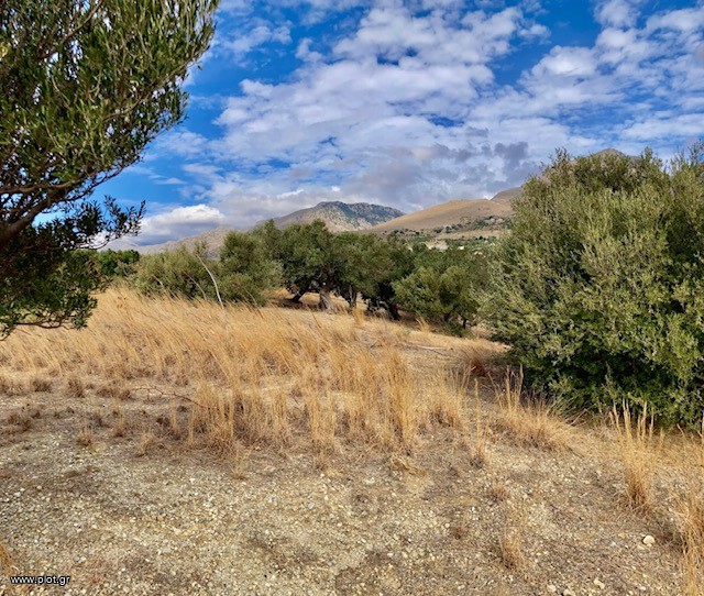Οικόπεδο 8.700 τ.μ. για πώληση, Ν. Ρεθύμνου, Φοινίκας