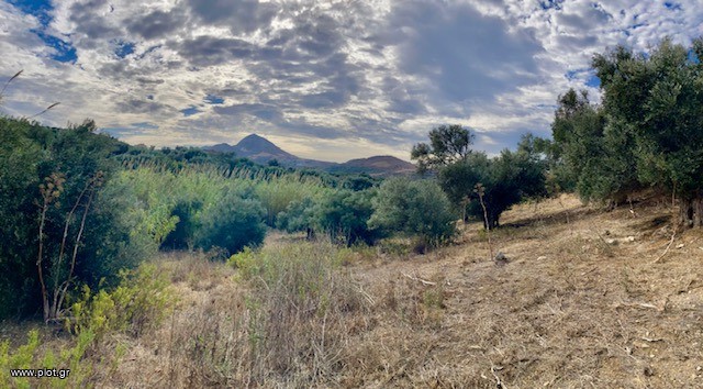 Οικόπεδο 8.700 τ.μ. πρός πώληση, Ν. Ρεθύμνου, Φοινίκας