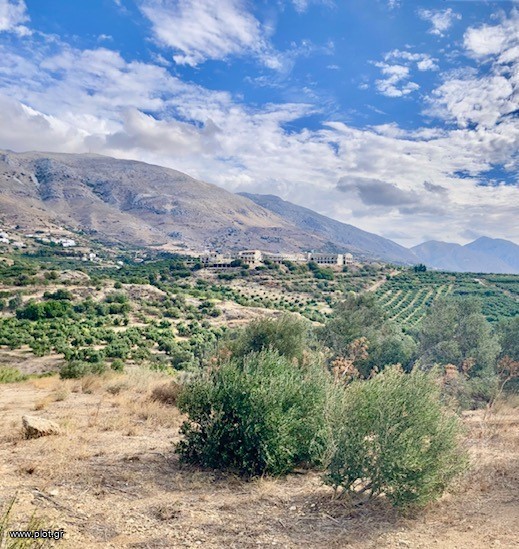 Οικόπεδο 8.700 τ.μ. πρός πώληση, Ν. Ρεθύμνου, Φοινίκας