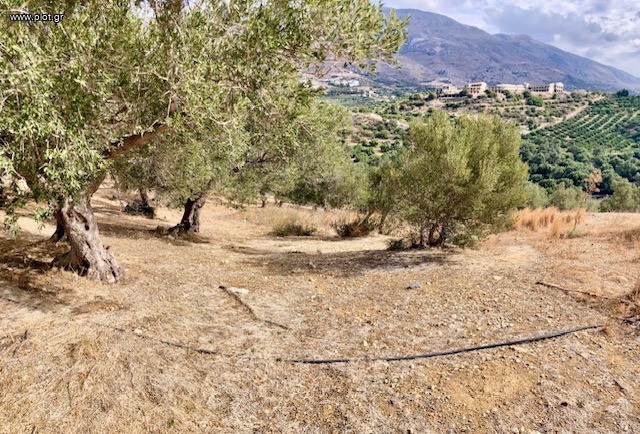 Οικόπεδο 8.700 τ.μ. πρός πώληση, Ν. Ρεθύμνου, Φοινίκας