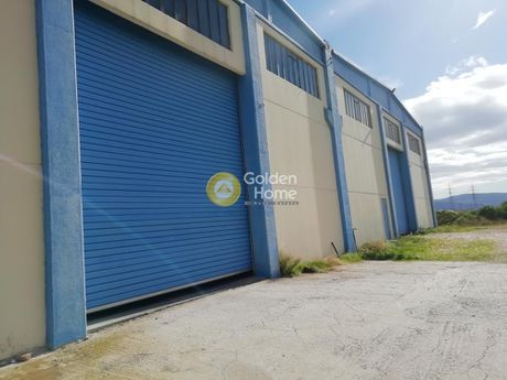 Αγροτεμάχια 113.075τ.μ. για πώληση-Ασπρόπυργος » Κάμπος
