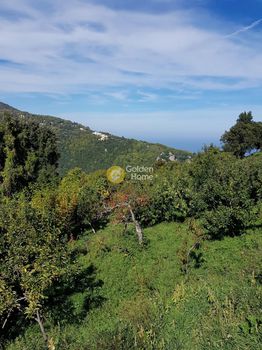 Οικόπεδο 938τ.μ. για πώληση-Μούρεσι » Ξορύχτι