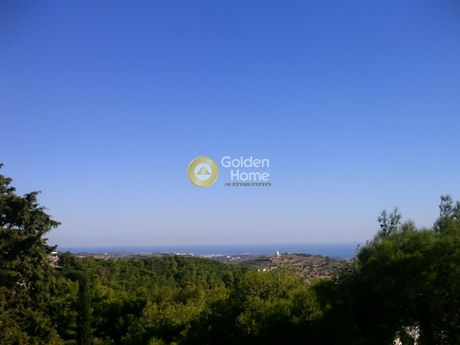 Οικόπεδο 4.020τ.μ. για πώληση-Πάρος » Λεύκες