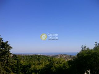 Οικόπεδο 4.020 τ.μ. για πώληση