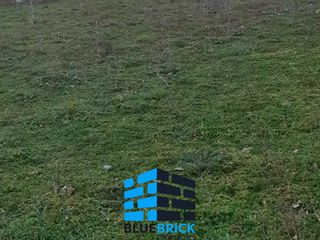 Αγροτεμάχια 8.130 τ.μ. για πώληση
