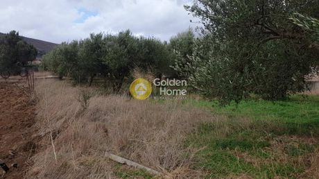 Land plot 3.013sqm for sale-Tetrachori » Avgeniki