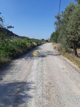 Land plot 5.000sqm for sale-Tetrachori » Avgeniki