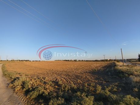 Αγροτεμάχια 12.200 τ.μ. για πώληση