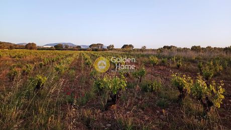Parcel 1.500sqm for sale-Spata » Imeros Pefkos