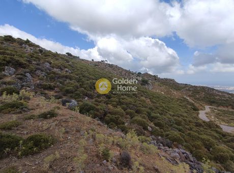 Land plot 4.000sqm for sale-Keramia » Kontopoula