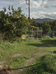 Land plot 4.000 sqm for sale