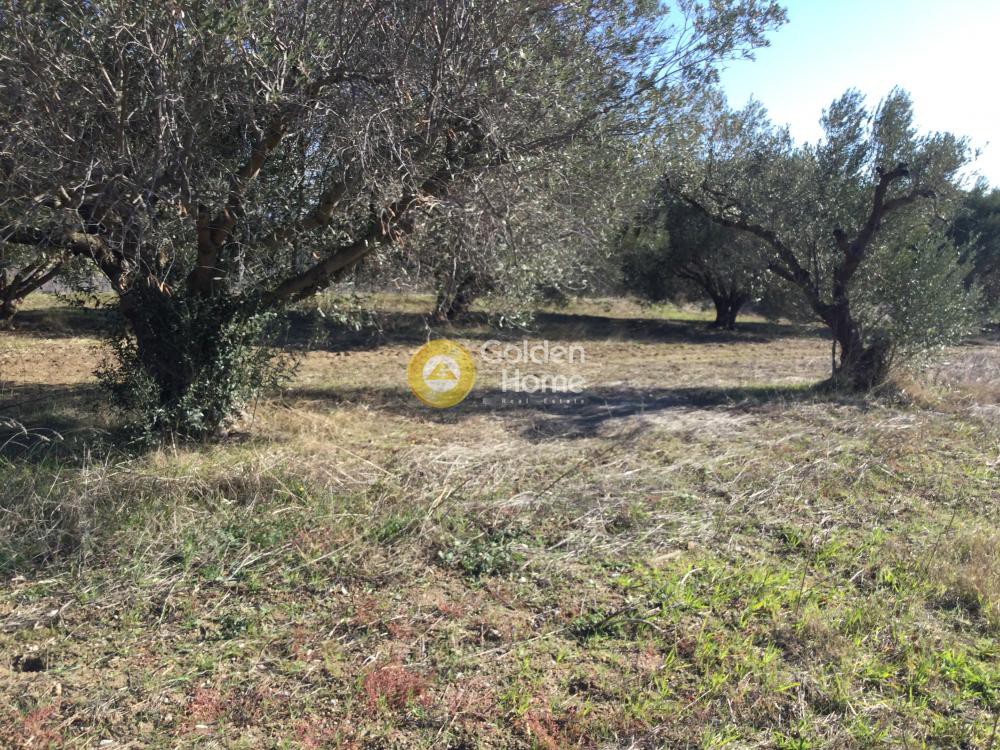 Αγροτεμάχια 4.600 τ.μ. προς πώληση, Θεσσαλονίκη - Περιφ/Κοί Δήμοι, Επανομή