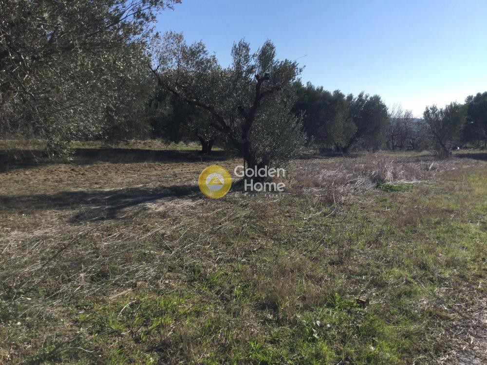Αγροτεμάχια 4.600 τ.μ. προς πώληση, Θεσσαλονίκη - Περιφ/Κοί Δήμοι, Επανομή