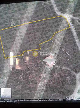 Land plot 5.230sqm for sale-Lefktros » Stoupa