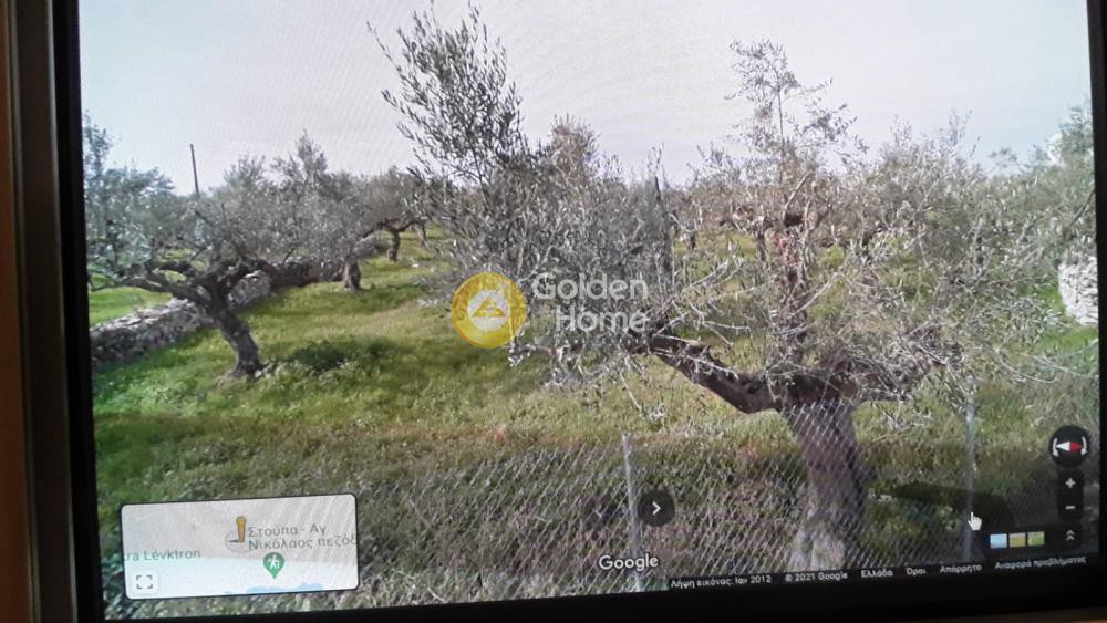 Οικόπεδο 5.230 τ.μ. πρός πώληση, Μεσσηνία, Λεύκτρος