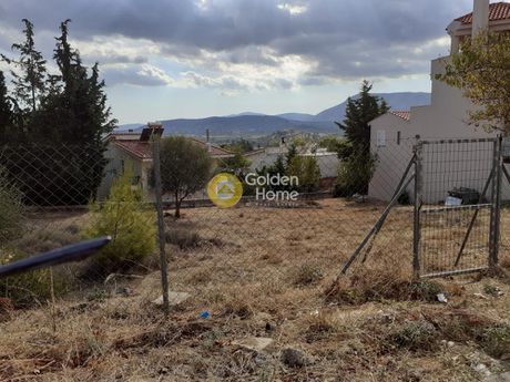 Οικόπεδο 500τ.μ. για πώληση-Σπάτα » Φοινίκας