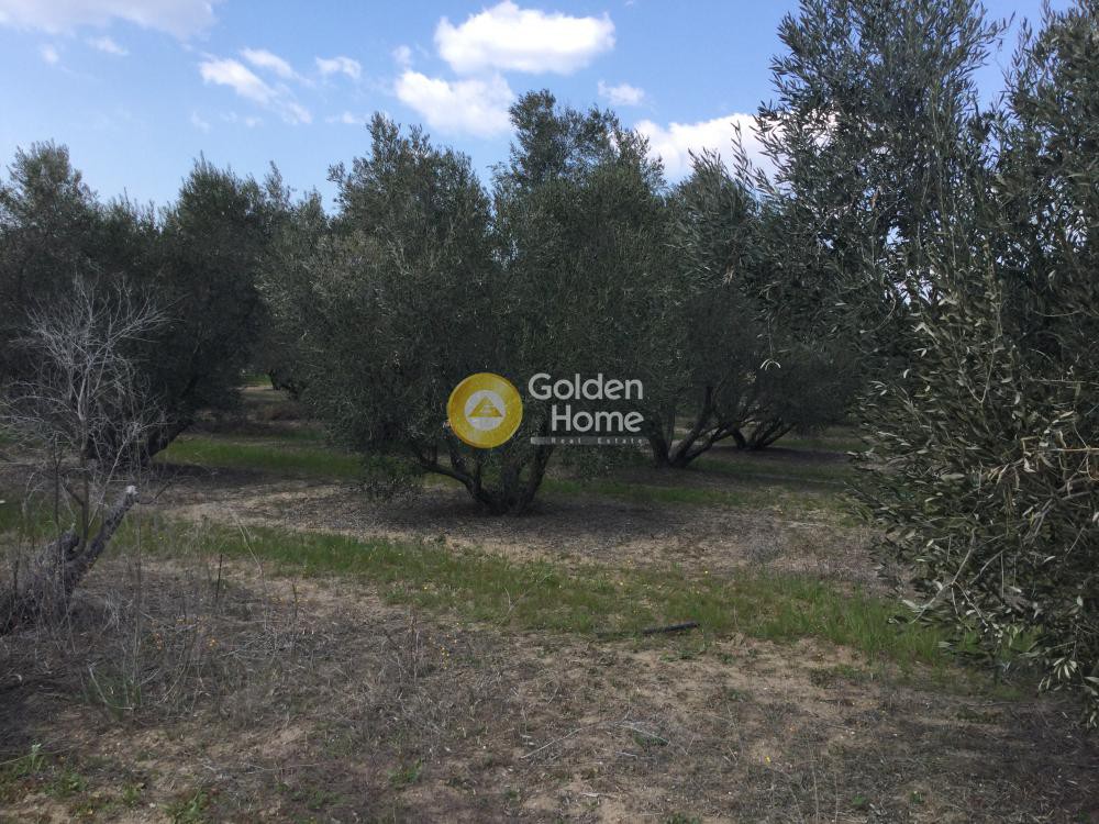Οικόπεδο 501 τ.μ. προς πώληση, Νέα Ηράκλεια