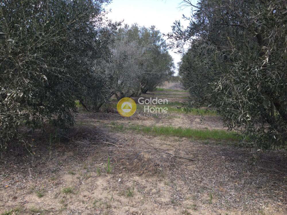 Οικόπεδο 501 τ.μ. προς πώληση, Νέα Ηράκλεια