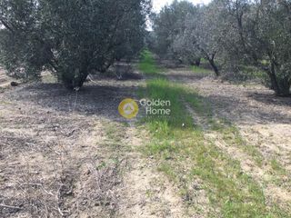 Οικόπεδο 501 τ.μ. για πώληση