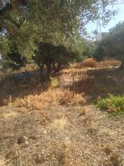 Οικόπεδο 609 τ.μ. για πώληση