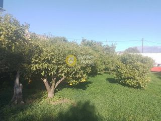 Οικόπεδο 850 τ.μ. προς ενοικίαση, Σίβα-thumb-1