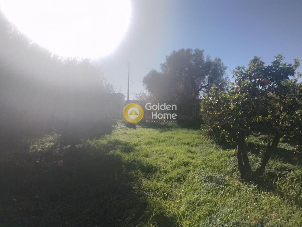 Οικόπεδο 850 τ.μ. για ενοικίαση, Ν. Ηρακλείου, Τετραχώρι
