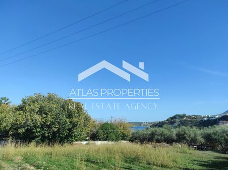 Land plot 4.393sqm for sale-Vamos » Almirida