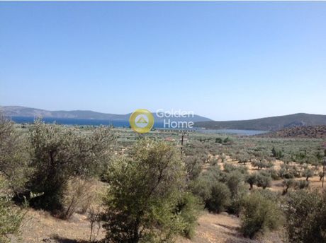 Οικόπεδο 8.720 τ.μ. για πώληση