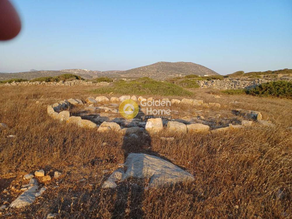 Αγροτεμάχια 31.320 τ.μ. προς πώληση, Κυκλάδες, Αμοργός