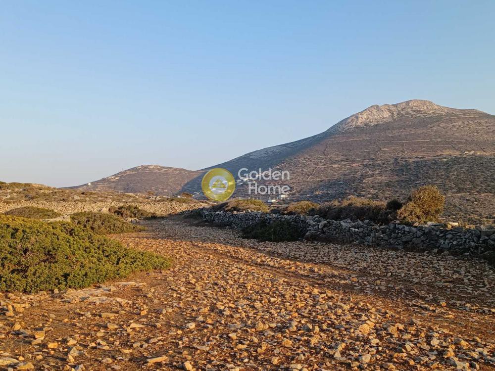Αγροτεμάχια 31.320 τ.μ. προς πώληση, Κυκλάδες, Αμοργός