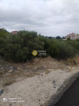 Οικόπεδο 1.000τ.μ. για πώληση-Ταμύνες » Ακτή νηρέως