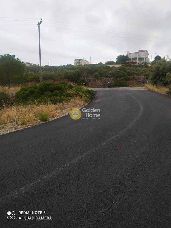 Οικόπεδο 1.000 τ.μ. πρός πώληση, Εύβοια, Ταμύνες