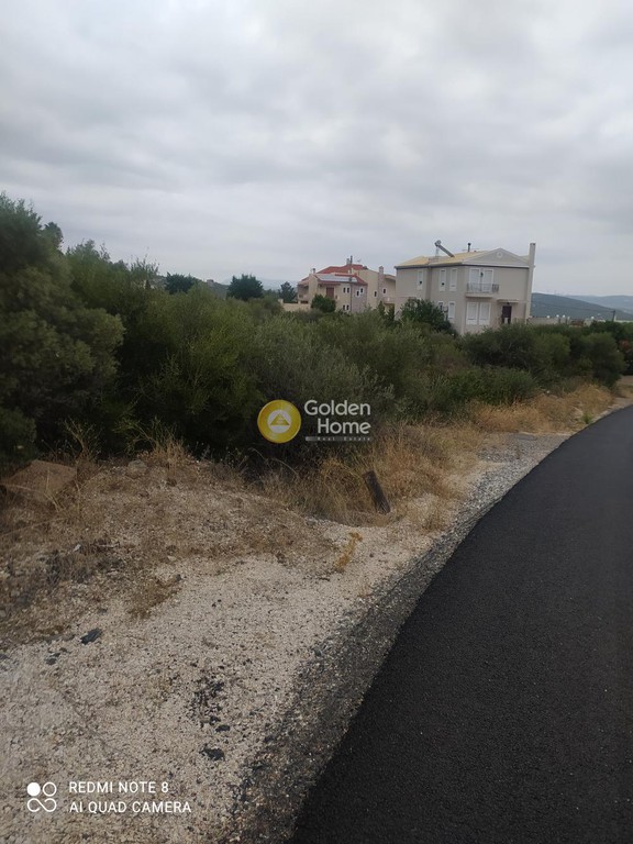 Οικόπεδο 1.000 τ.μ. πρός πώληση, Εύβοια, Ταμύνες
