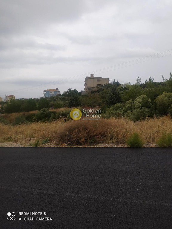 Οικόπεδο 1.000 τ.μ. πρός πώληση, Εύβοια, Ταμύνες