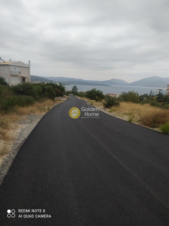 Οικόπεδο 1.000 τ.μ. πρός πώληση, Εύβοια, Ταμύνες