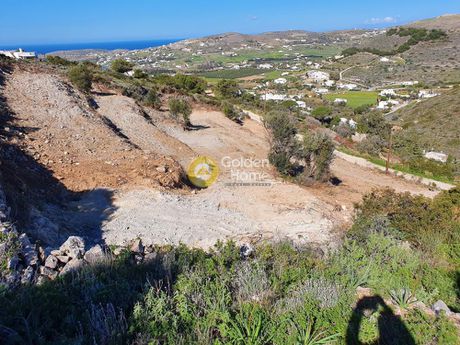 Οικόπεδο 4.000τ.μ. για πώληση-Πλαταιές » Κέντρο