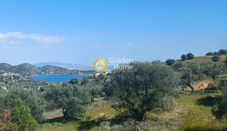 Αγροτεμάχια 8.500τ.μ. για πώληση-Σαλαμίνα » Περάνι