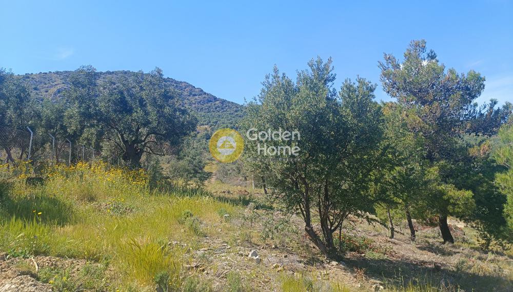 Αγροτεμάχια 8.500 τ.μ. προς πώληση, Νησιά Αργοσαρωνικού, Σαλαμίνα