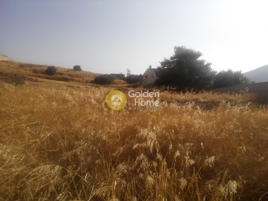 Οικόπεδο 3.500 τ.μ. προς ενοικίαση, Αττική - Υπόλοιπο, Καλύβια Θορικού