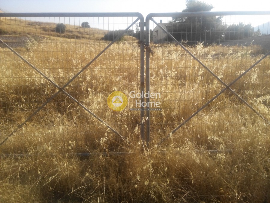 Οικόπεδο 3.500 τ.μ. προς ενοικίαση, Αττική - Υπόλοιπο, Καλύβια Θορικού