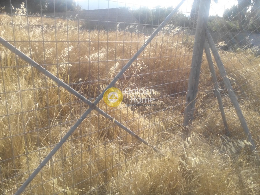 Οικόπεδο 3.500 τ.μ. προς ενοικίαση, Αττική - Υπόλοιπο, Καλύβια Θορικού