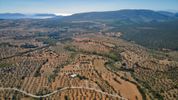 Αγροτεμάχια 8.739τ.μ. για πώληση-Ερμιόνη » Ηλιόκαστρο